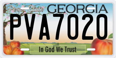 GA license plate PVA7020