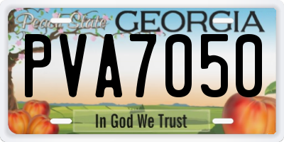 GA license plate PVA7050