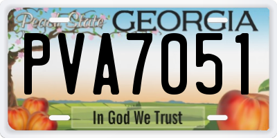 GA license plate PVA7051