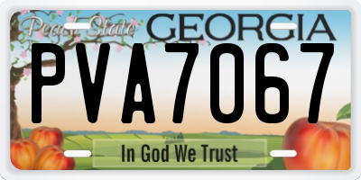 GA license plate PVA7067