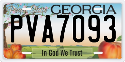 GA license plate PVA7093