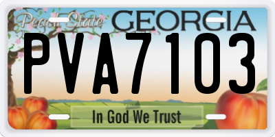 GA license plate PVA7103