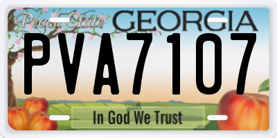 GA license plate PVA7107