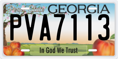 GA license plate PVA7113