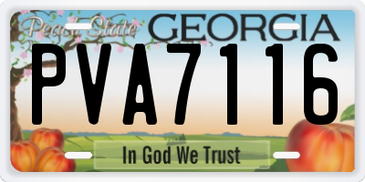 GA license plate PVA7116