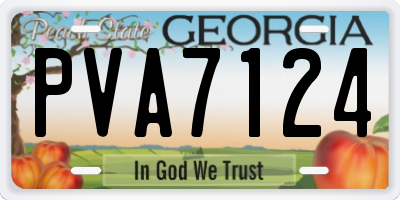 GA license plate PVA7124