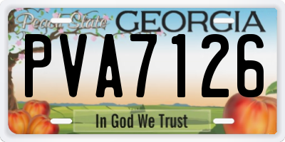 GA license plate PVA7126