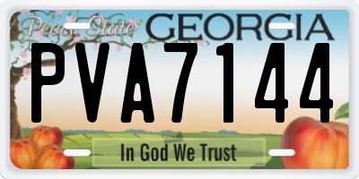 GA license plate PVA7144