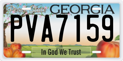 GA license plate PVA7159