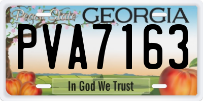 GA license plate PVA7163
