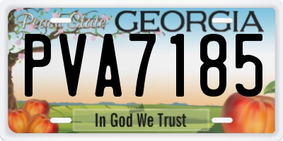 GA license plate PVA7185