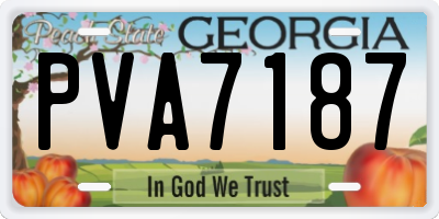 GA license plate PVA7187