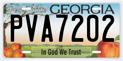 GA license plate PVA7202
