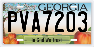 GA license plate PVA7203