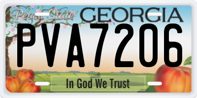 GA license plate PVA7206