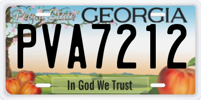 GA license plate PVA7212
