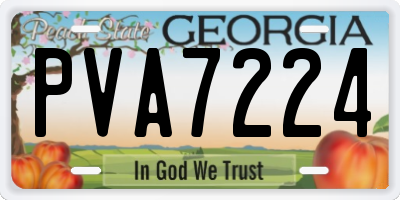 GA license plate PVA7224
