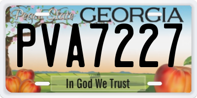GA license plate PVA7227