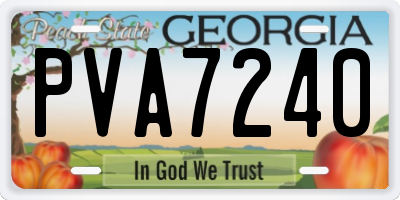 GA license plate PVA7240