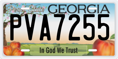 GA license plate PVA7255