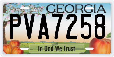 GA license plate PVA7258