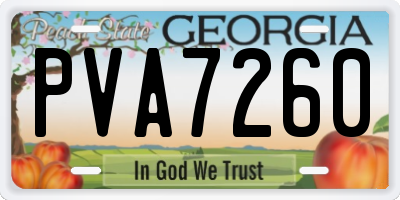 GA license plate PVA7260