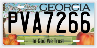 GA license plate PVA7266