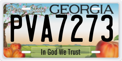 GA license plate PVA7273