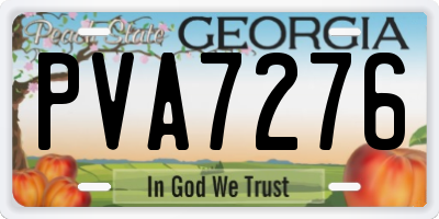 GA license plate PVA7276