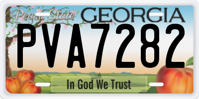 GA license plate PVA7282