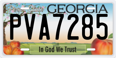 GA license plate PVA7285