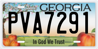 GA license plate PVA7291