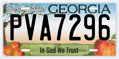 GA license plate PVA7296