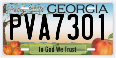 GA license plate PVA7301