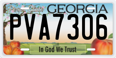 GA license plate PVA7306