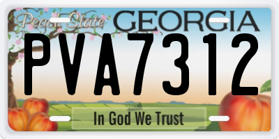 GA license plate PVA7312