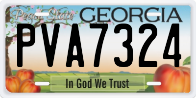 GA license plate PVA7324