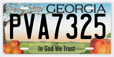 GA license plate PVA7325