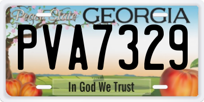 GA license plate PVA7329
