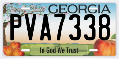 GA license plate PVA7338