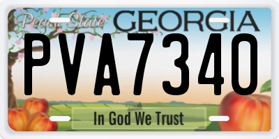 GA license plate PVA7340