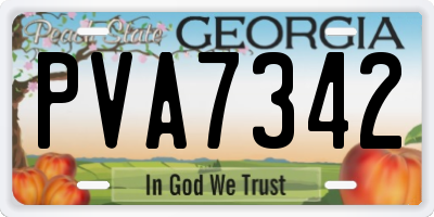 GA license plate PVA7342