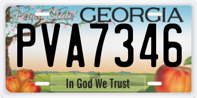 GA license plate PVA7346