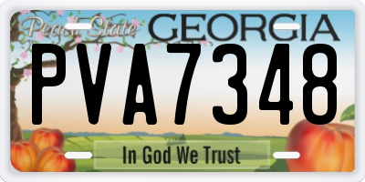 GA license plate PVA7348
