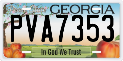 GA license plate PVA7353