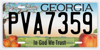 GA license plate PVA7359