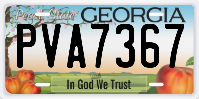 GA license plate PVA7367