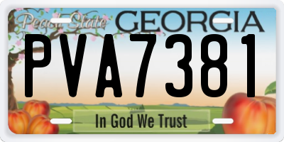 GA license plate PVA7381