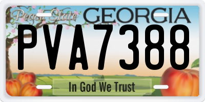 GA license plate PVA7388