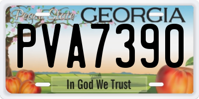 GA license plate PVA7390